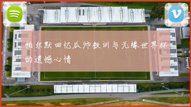 帕尔默回忆瓜帅教训与无缘世界杯的遗憾心情