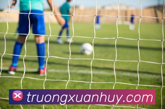 体育数据展示